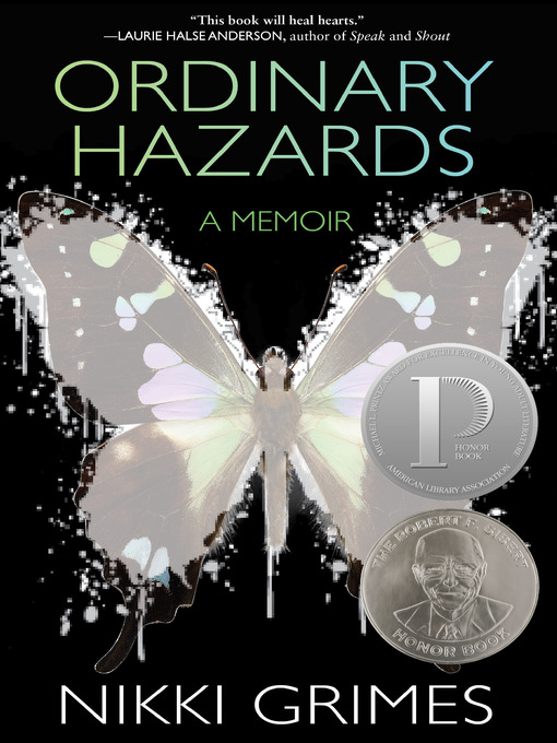 Cover image for Ordinary Hazards